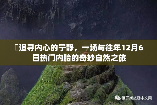 追寻内心的宁静，一场与自然内胎的奇妙之旅（往年12月6日热门内胎回顾）