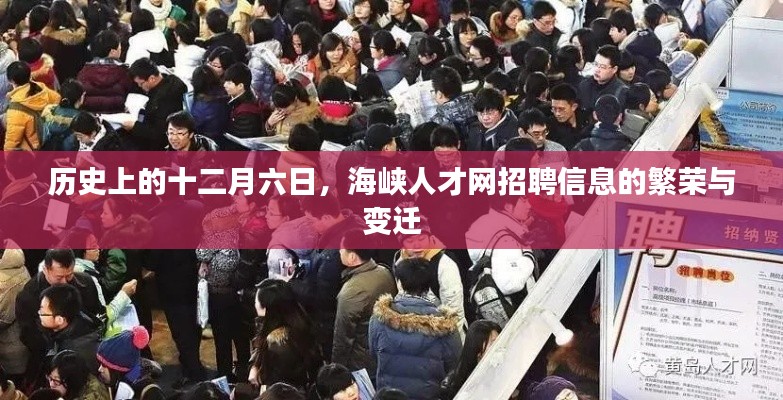 海峡人才网招聘信息繁荣变迁之十二月六日回顾