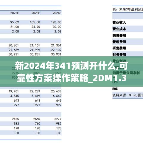 新2024年341预测开什么,可靠性方案操作策略_2DM1.360