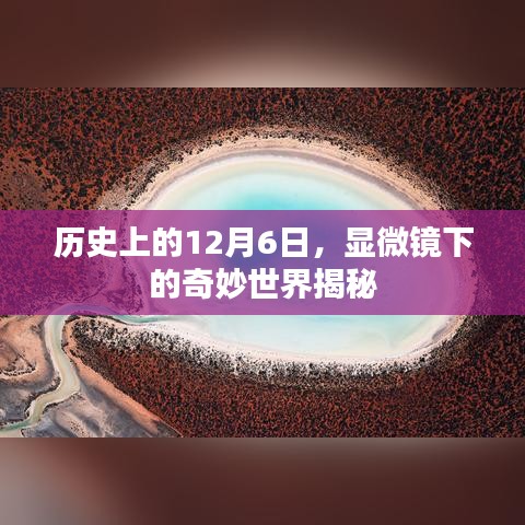 显微镜下的奇妙世界揭秘，历史视角下的12月6日探索