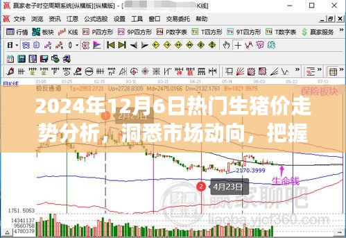 2024年12月6日生猪市场走势深度解析，洞悉行情，引领行业趋势