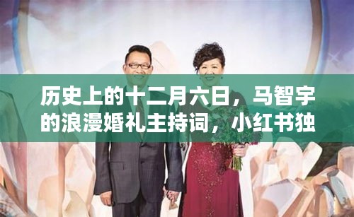 小红书独家分享，马智宇主持浪漫婚礼主持词回顾历史十二月六日的美好瞬间