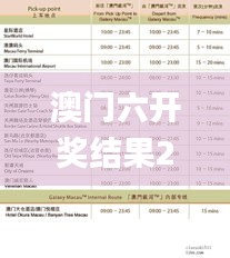 澳门六开奖结果2024开奖记录查询表,精细设计解析策略_潮流版9.453