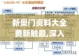 新奥门资料大全费新触最,深入应用解析数据_3D6.162