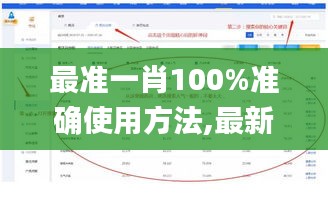 最准一肖100%准确使用方法,最新数据解释定义_set9.648