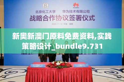 新奥新澳门原料免费资料,实践策略设计_bundle9.731