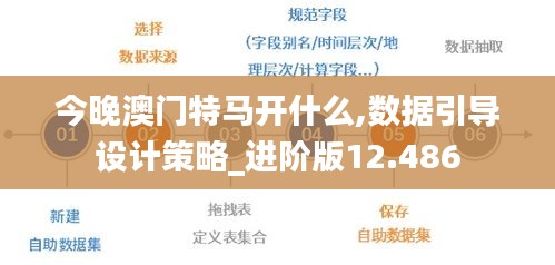 今晚澳门特马开什么,数据引导设计策略_进阶版12.486