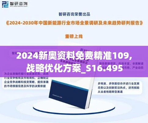 2024新奥资料免费精准109,战略优化方案_S16.495