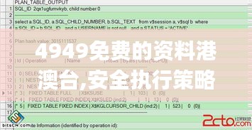 4949免费的资料港澳台,安全执行策略_尊贵版10.531
