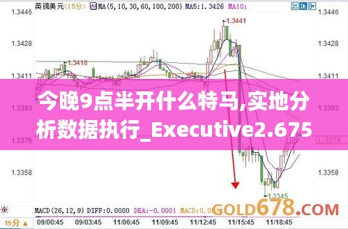 今晚9点半开什么特马,实地分析数据执行_Executive2.675