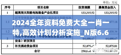 2024全年资料免费大全一肖一特,高效计划分析实施_N版6.675