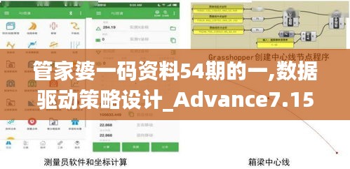 管家婆一码资料54期的一,数据驱动策略设计_Advance7.152