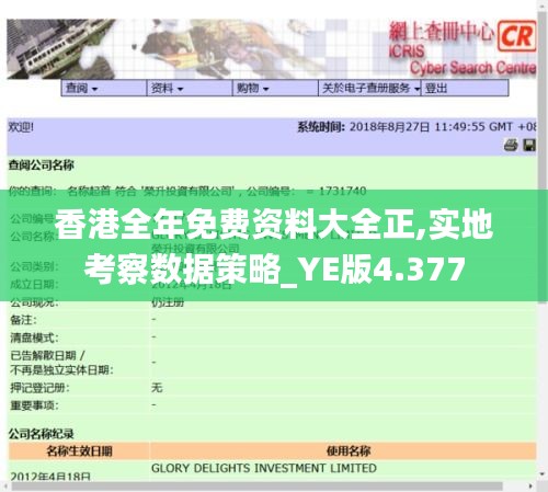 香港全年免费资料大全正,实地考察数据策略_YE版4.377