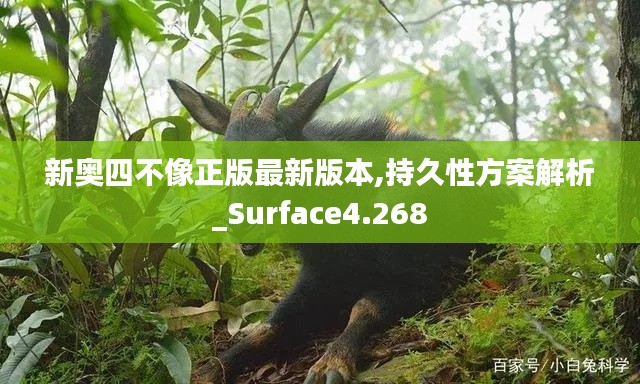 新奥四不像正版最新版本,持久性方案解析_Surface4.268