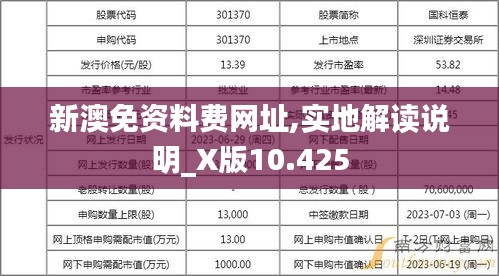 新澳免资料费网址,实地解读说明_X版10.425