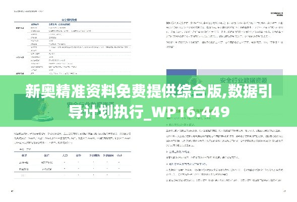 新奥精准资料免费提供综合版,数据引导计划执行_WP16.449