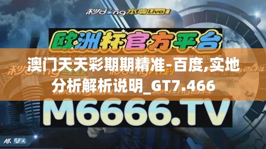 澳门天天彩期期精准-百度,实地分析解析说明_GT7.466