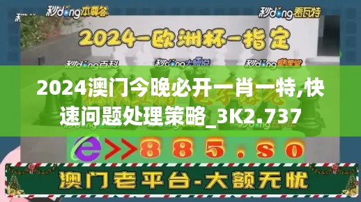 2024澳门今晚必开一肖一特,快速问题处理策略_3K2.737