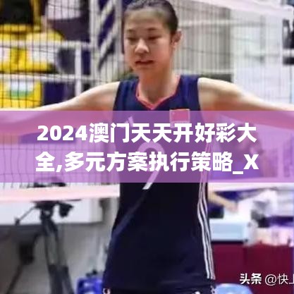 2024澳门天天开好彩大全,多元方案执行策略_XP8.740