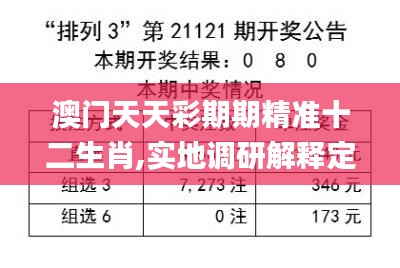 澳门天天彩期期精准十二生肖,实地调研解释定义_M版6.159