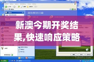 新澳今期开奖结果,快速响应策略解析_XP110.204