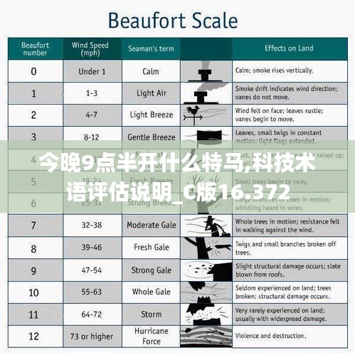 今晚9点半开什么特马,科技术语评估说明_C版16.372