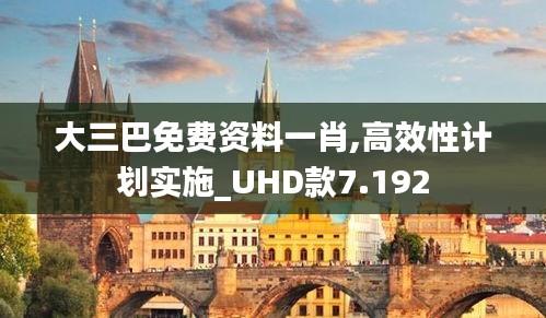 大三巴免费资料一肖,高效性计划实施_UHD款7.192