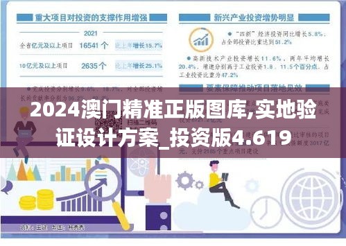 2024澳门精准正版图库,实地验证设计方案_投资版4.619