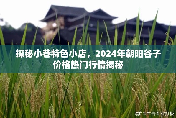 探秘小巷特色小店与朝阳谷子价格行情大揭秘（2024年）