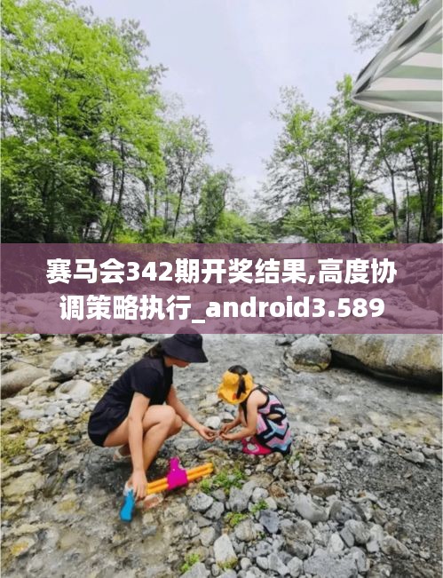 赛马会342期开奖结果,高度协调策略执行_android3.589