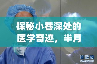 探秘小巷医学奇迹，半月板再生术最新进展与特色小店的奇妙缘分