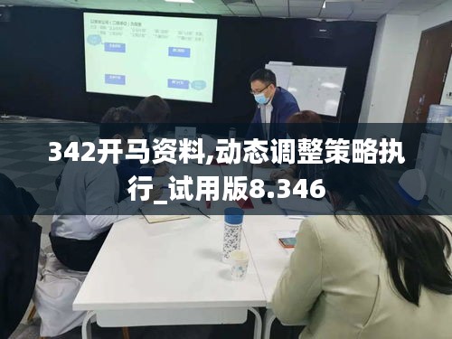 342开马资料,动态调整策略执行_试用版8.346