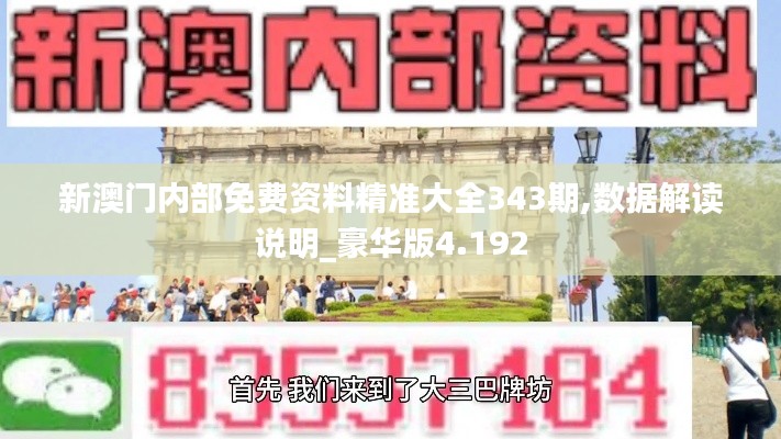 新澳门内部免费资料精准大全343期,数据解读说明_豪华版4.192