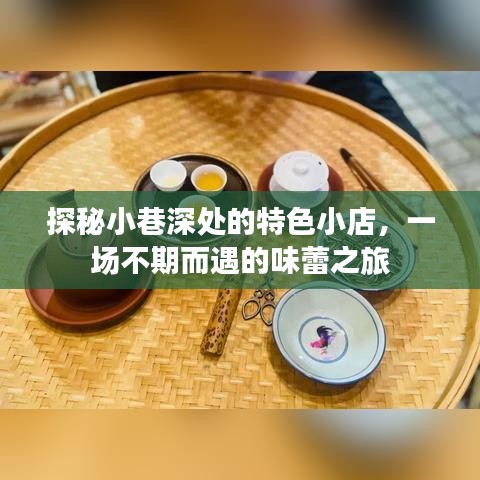 小巷深处的惊喜之旅，特色小店的味蕾探秘之旅