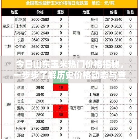 揭秘山东玉米今日热门价格，历史动态与查询方法全解析