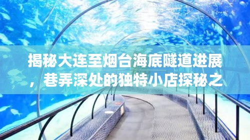 大连至烟台海底隧道进展揭秘与巷弄深处独特小店探秘之旅