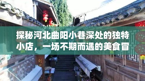 探秘河北曲阳小巷深处的独特小店，一场不期而遇的美食冒险