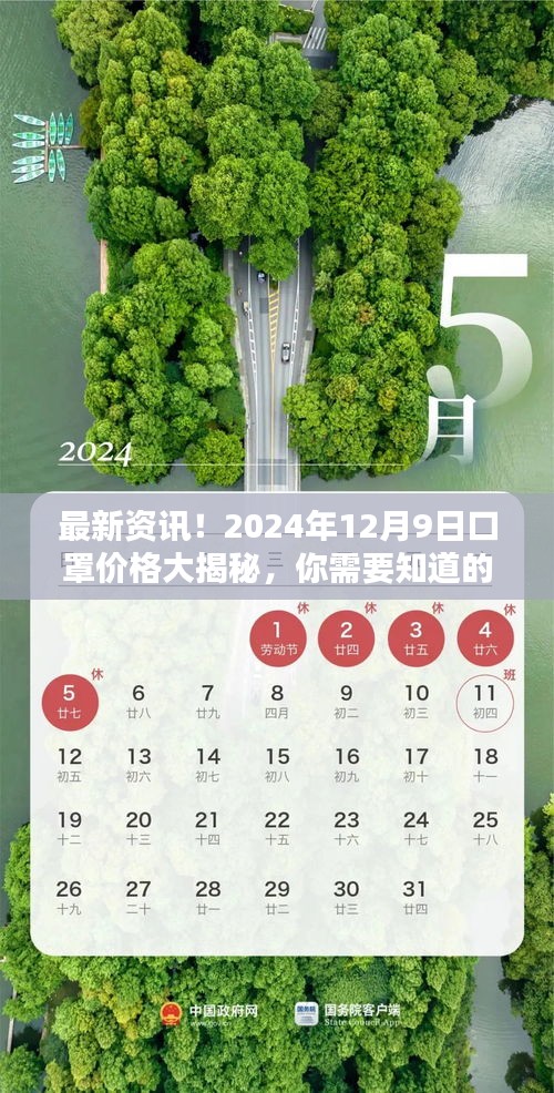 2024年12月9日口罩价格揭秘，全面了解口罩市场资讯！