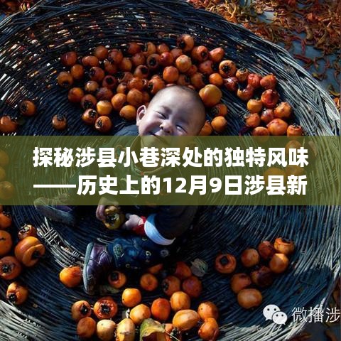 探秘涉县小巷深处的独特风味——历史上的12月9日涉县新闻下的隐藏美食宝藏