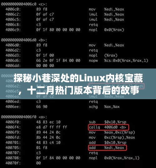 探秘小巷深处的Linux内核宝藏，十二月热门版本背后的独特小店故事