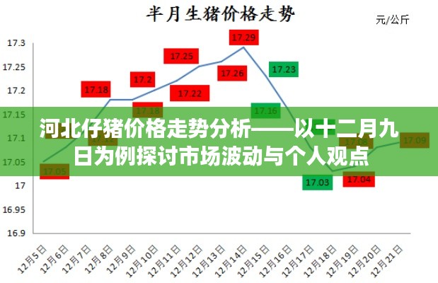 河北仔猪价格走势分析，市场波动与个人观点探讨（十二月九日为例）