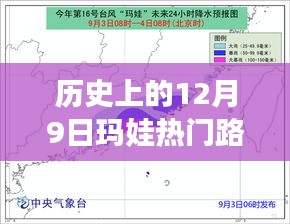 2024年12月10日 第31页