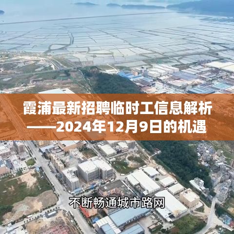 霞浦最新临时工招聘信息解析，机遇与挑战并存（2024年12月9日）