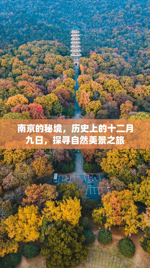 南京秘境，探寻历史与自然美景的十二月九日之旅