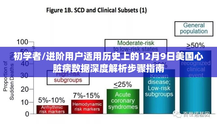 12月9日美国心脏病数据深度解析，适合初学者与进阶用户的实用指南