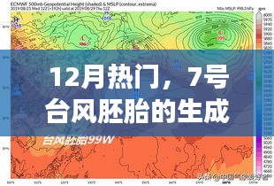 台风胚胎生成与发展，揭秘12月热门话题