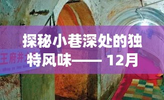 探秘小巷深处的独特风味，今日垂直采新鲜报纪实