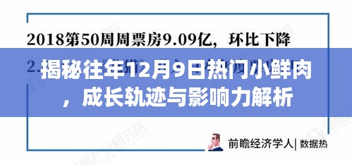 往年12月9日热门小鲜肉成长轨迹与影响力深度解析