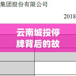 云南城投停牌背后的故事，日常回忆中的温情瞬间