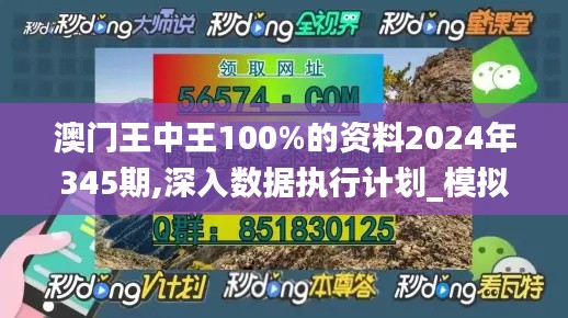 澳门王中王100%的资料2024年345期,深入数据执行计划_模拟版2.590